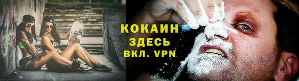 соль ск Алексин