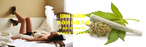сатива Алексеевка