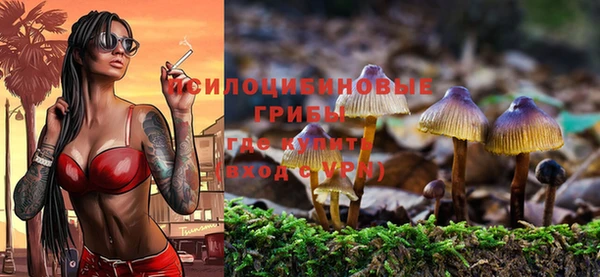 винт Алзамай