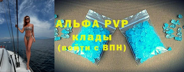 сатива Алексеевка