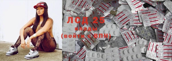 винт Алзамай