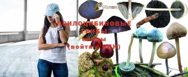 сатива Алексеевка