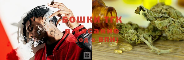 сатива Алексеевка